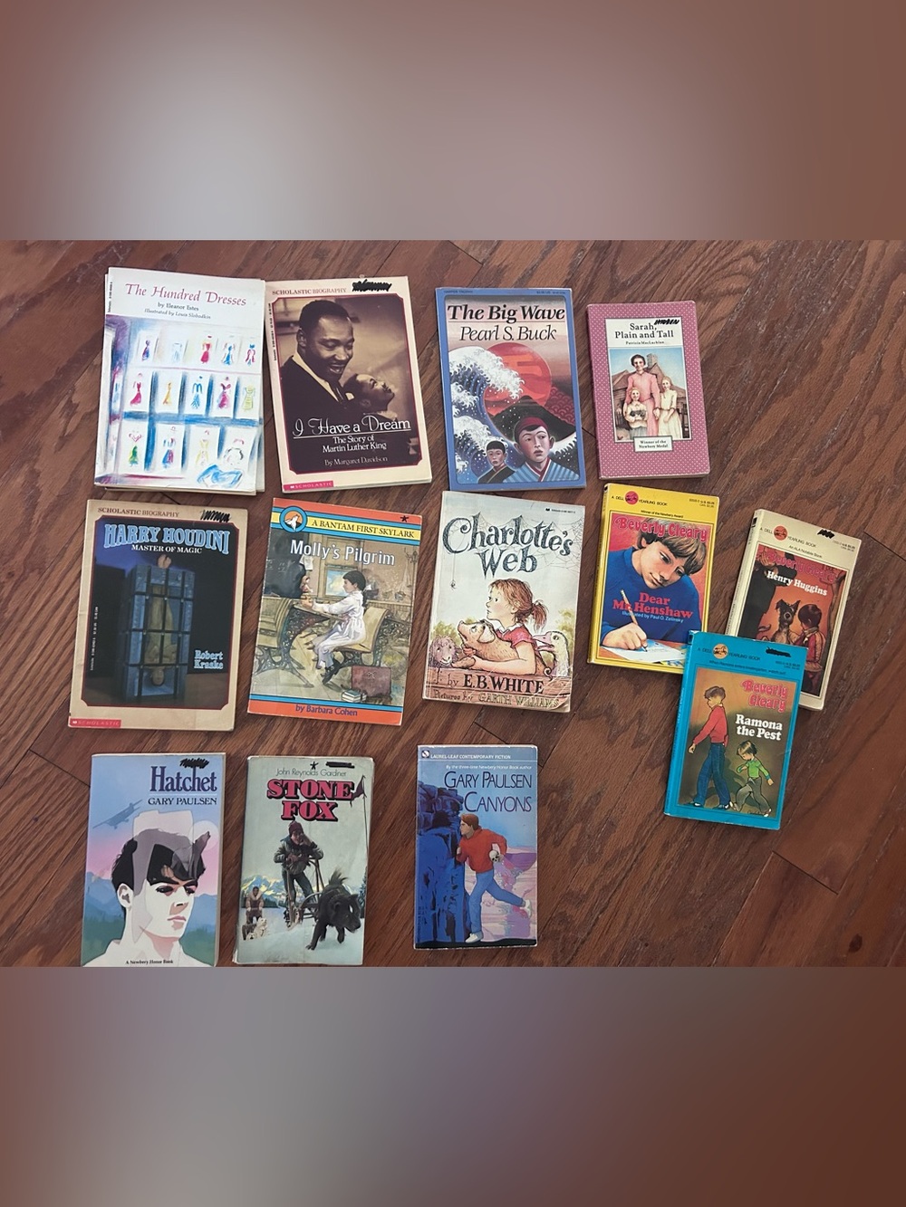 Assorted Classic Kids Books bundle